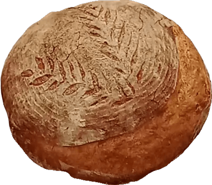 pane-sx